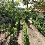Holiday home In - Balaton 20236 *