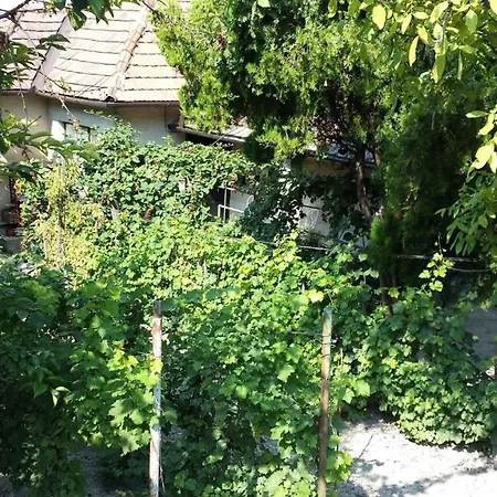 In Tihany/balaton 20236 Holiday home *