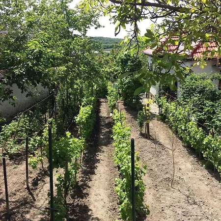 Ferienhaus In - Balaton 20236 *
