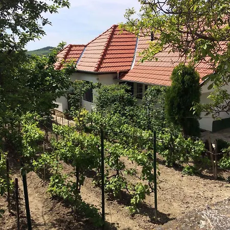 Holiday home In Tihany/balaton 20236