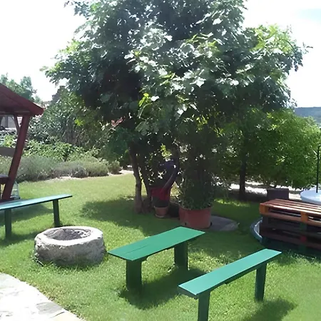 In - Balaton 20236 * Tihany