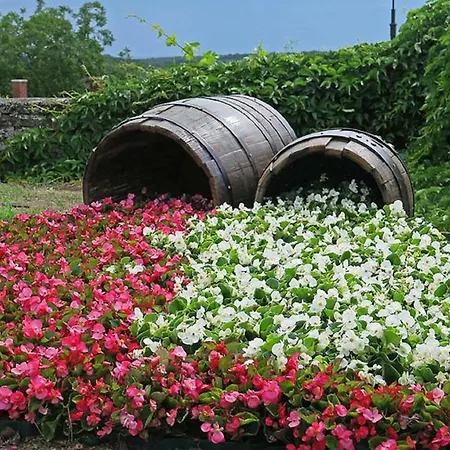 In - Balaton 20236 Vakantiehuis