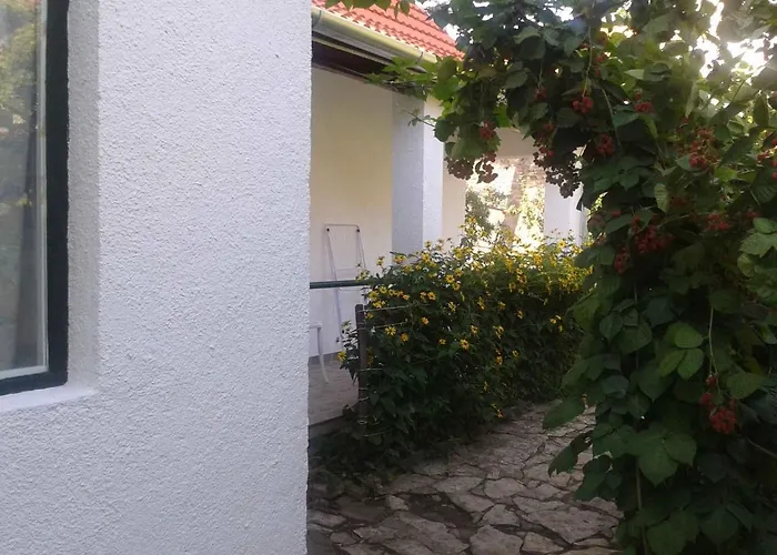 Ferienhaus In - Balaton 20236 *