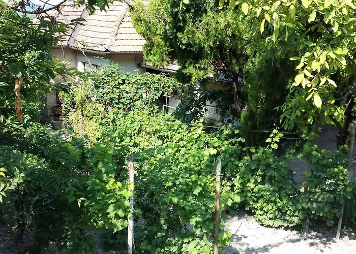 In - Balaton 20236 Holiday home *