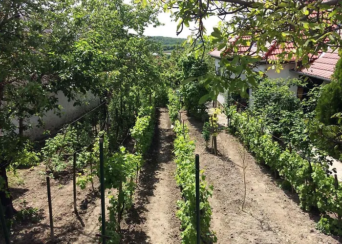 Ferienhaus In - Balaton 20236 *