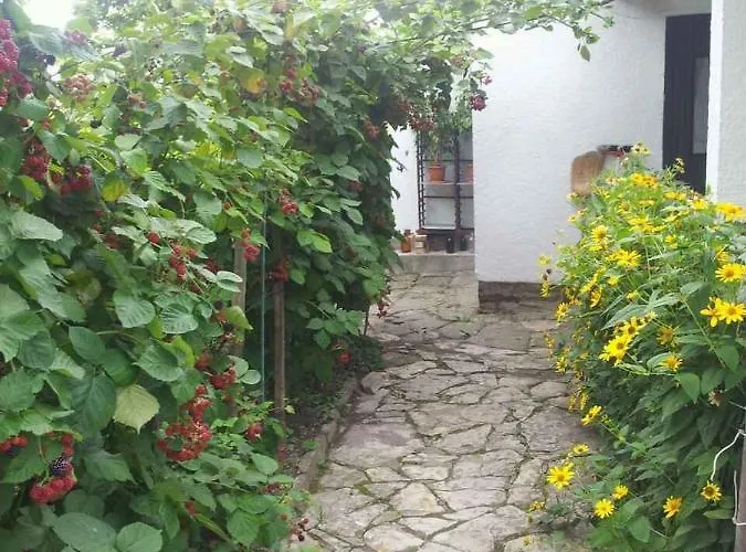 In - Balaton 20236 * Tihany