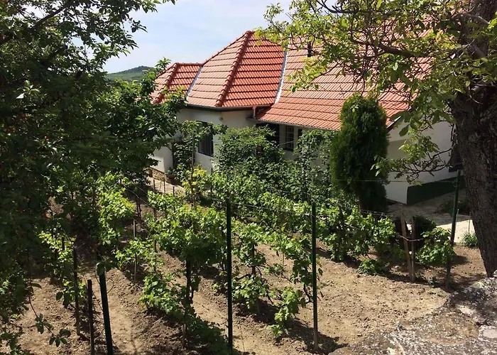 Hébergement de vacances In - Balaton 20236