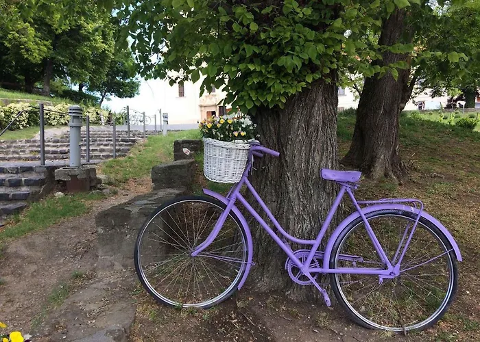 In - Balaton 20236 Ferienhaus *