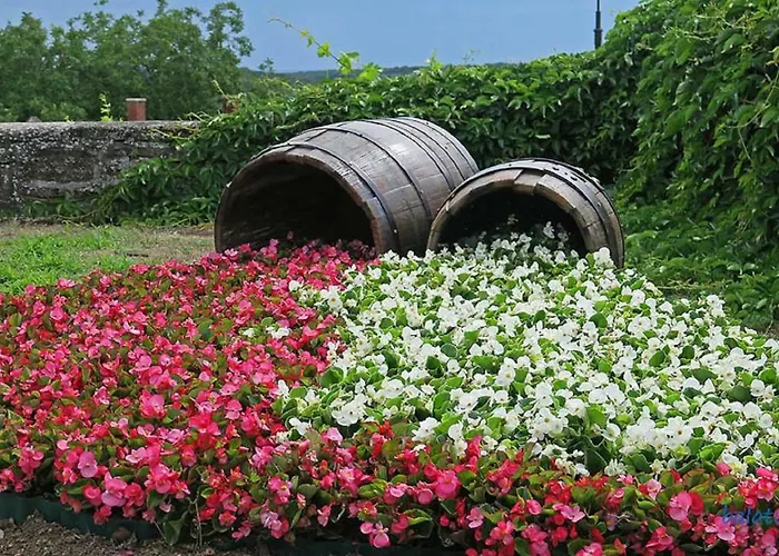 In - Balaton 20236 Ferienhaus